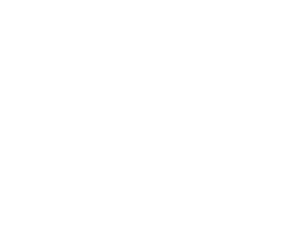 David Graziano was founding member of the band Blame It On Jane, performing at east coast venues such as CBGBs, The Birchmere, and State Theater. David is an accomplished songwriter placing as a finalist in the Mid-Atlantic songwriting competition.
